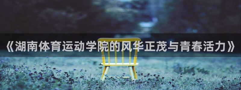 球王会体育：《湖南体育运动学院的风华正茂与青春活力》