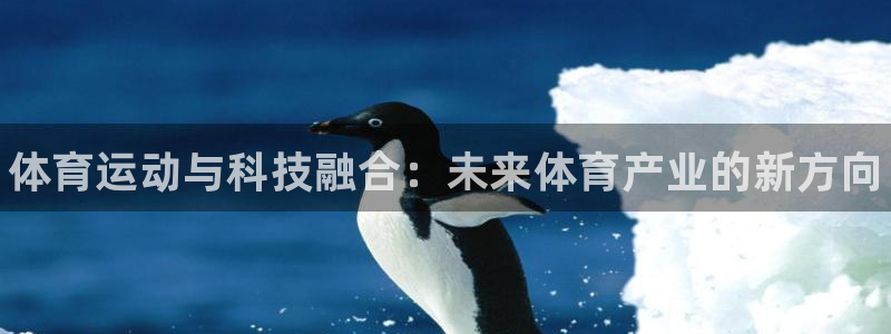 球王会体育：体育运动与科技融合：未来体育产业的新方向