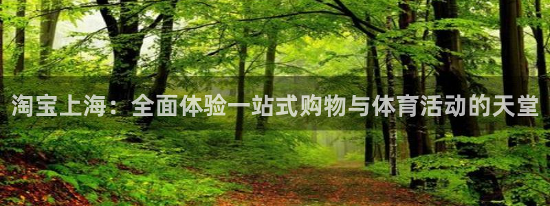 球王会体育：淘宝上海：全面体验一站式购物与体育活动的天堂