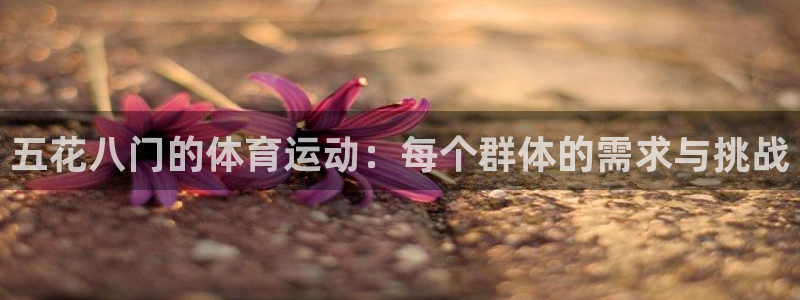 球王会体育：五花八门的体育运动：每个群体的需求与挑战
