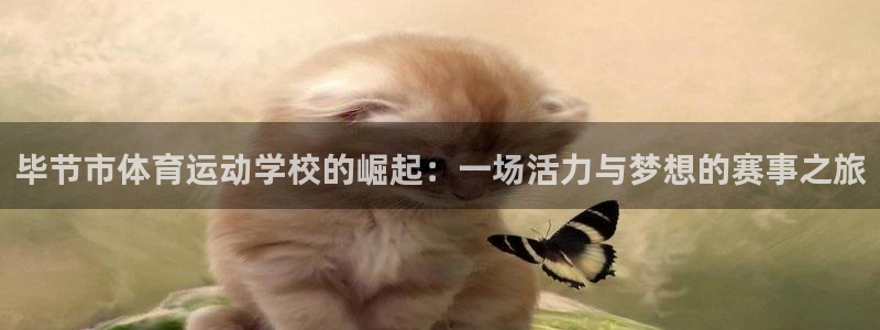 球王会体育：毕节市体育运动学校的崛起：一场活力与梦想的赛事之旅
