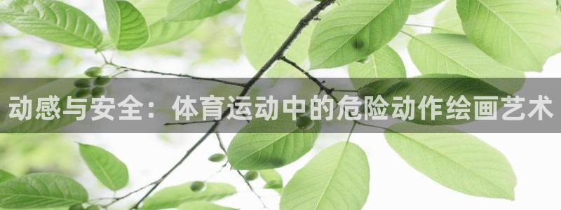 球王会体育：动感与安全：体育运动中的危险动作绘画艺术