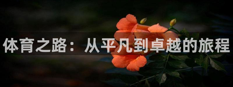 球王会体育：体育之路：从平凡到卓越的旅程