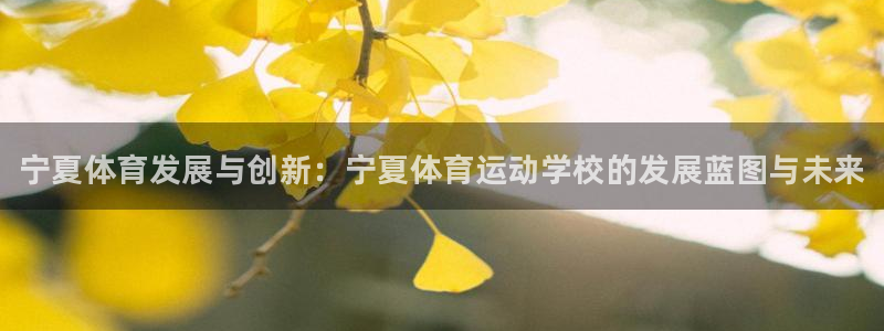 球王会体育：宁夏体育发展与创新：宁夏体育运动学校的发展蓝图与未来