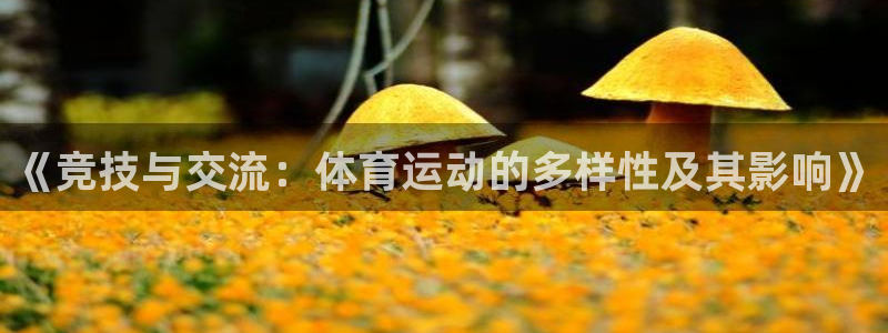 球王会体育：《竞技与交流：体育运动的多样性及其影响》