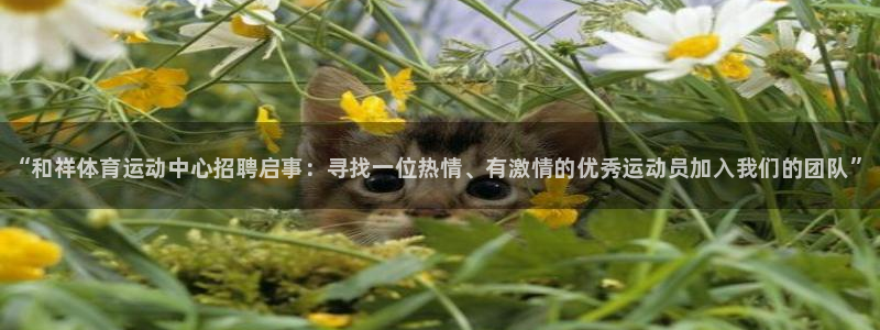 球王会体育：“和祥体育运动中心招聘启事：寻找一位热情、有激情的优秀运动员加入我们的团队”