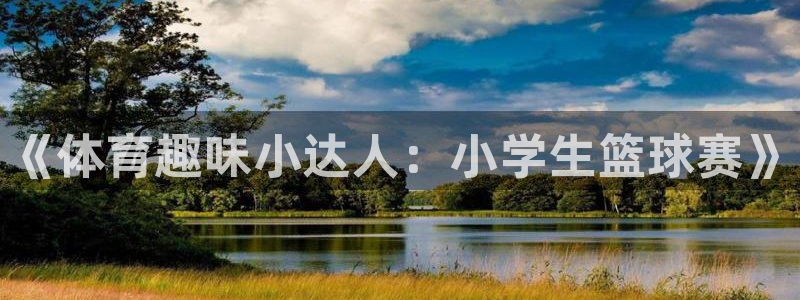 球王会体育：《体育趣味小达人：小学生篮球赛》