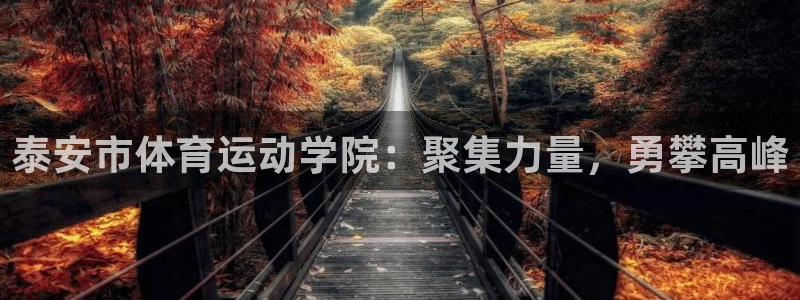 球王会体育：泰安市体育运动学院：聚集力量，勇攀高峰