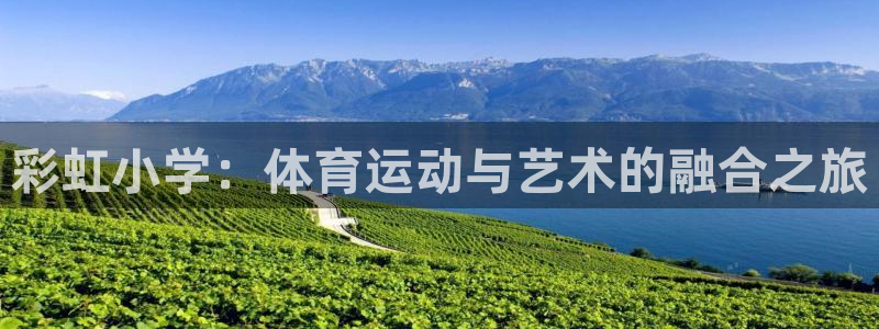 球王会体育：彩虹小学：体育运动与艺术的融合之旅