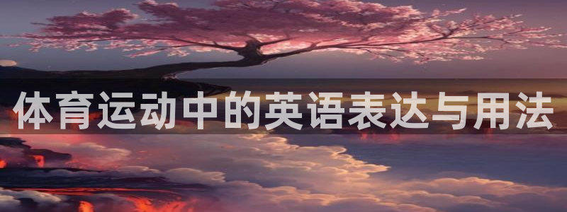 球王会体育：体育运动中的英语表达与用法