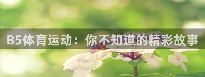 球王会体育：B5体育运动：你不知道的精彩故事