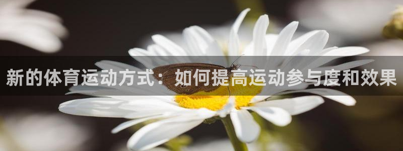 球王会体育：新的体育运动方式：如何提高运动参与度和效果