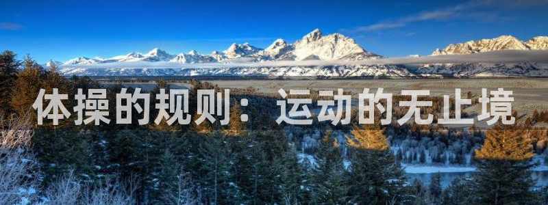 球王会体育：体操的规则：运动的无止境