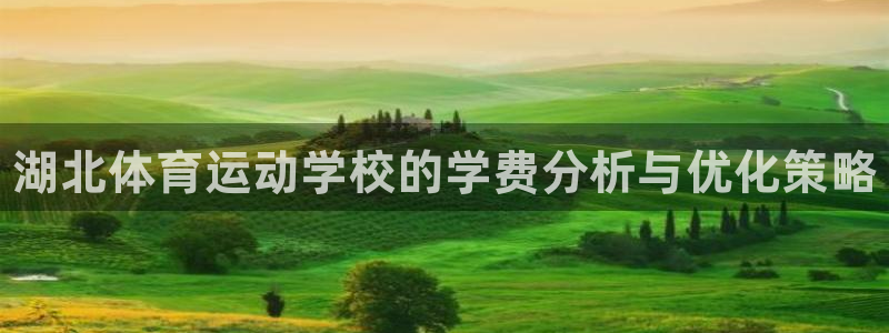 球王会体育：湖北体育运动学校的学费分析与优化策略