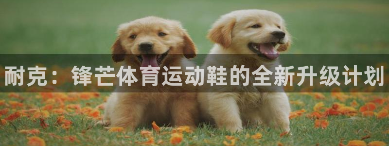 球王会体育：耐克：锋芒体育运动鞋的全新升级计划
