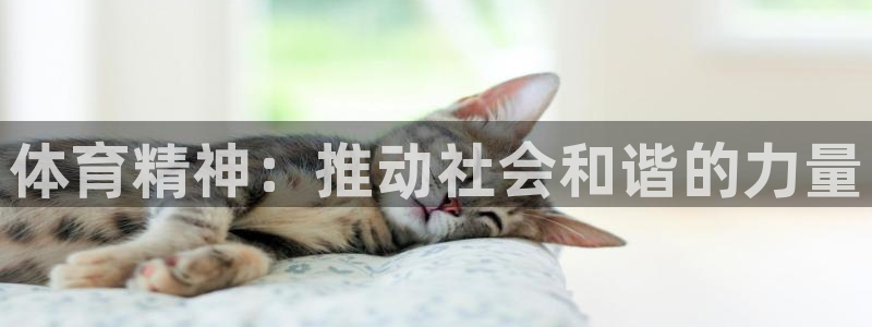 球王会体育：体育精神：推动社会和谐的力量