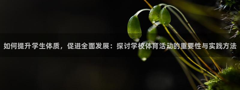球王会体育：如何提升学生体质，促进全面发展：探讨学校体育活动的重要性与实践方法