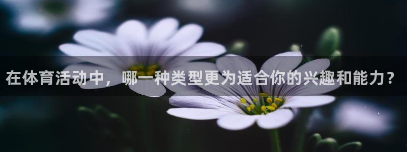 球王会体育：在体育活动中，哪一种类型更为适合你的兴趣和能力？