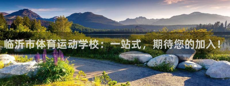 球王会体育：临沂市体育运动学校：一站式，期待您的加入！