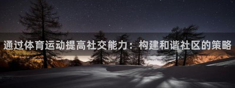 球王会体育：通过体育运动提高社交能力：构建和谐社区的策略