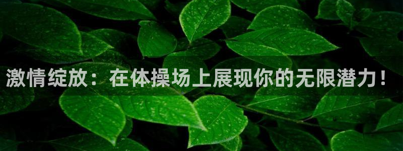 球王会体育：激情绽放：在体操场上展现你的无限潜力！