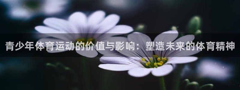 球王会体育：青少年体育运动的价值与影响：塑造未来的体育精神