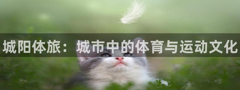球王会体育：城阳体旅：城市中的体育与运动文化