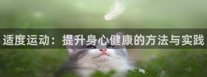 球王会体育：适度运动：提升身心健康的方法与实践