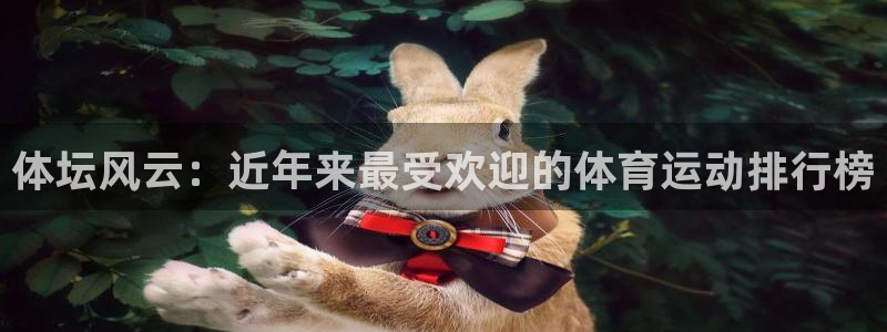 球王会体育：体坛风云：近年来最受欢迎的体育运动排行榜