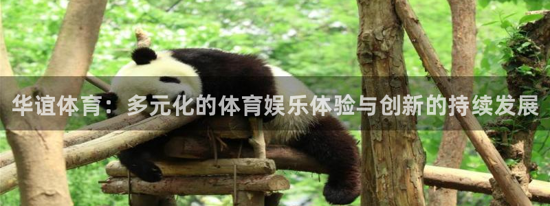 球王会体育：华谊体育：多元化的体育娱乐体验与创新的持续发展