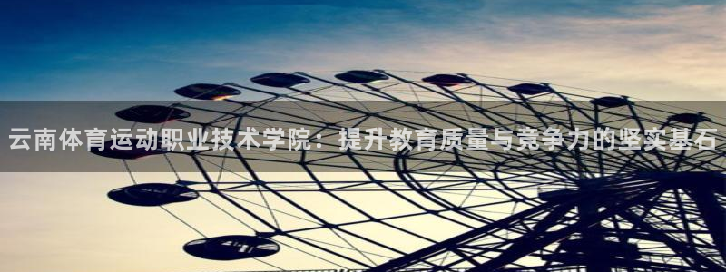 球王会体育：云南体育运动职业技术学院：提升教育质量与竞争力的坚实基石