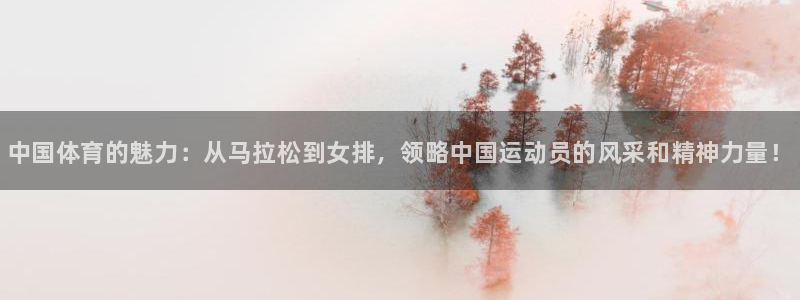 球王会体育：中国体育的魅力：从马拉松到女排，领略中国运动员的风采和精神力量！